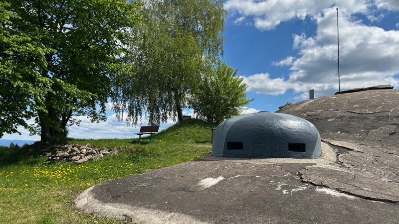 OKBOTA header showcase